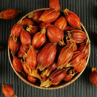 1kg quả dành dành núi 2021 ( có sẵn)