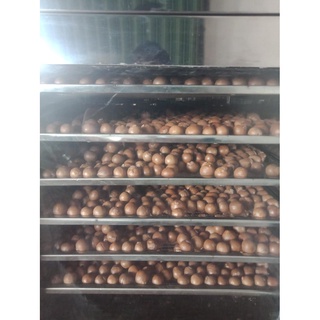 [Macca sấy] 100gr Nhân hạt Macca nguyên hạt