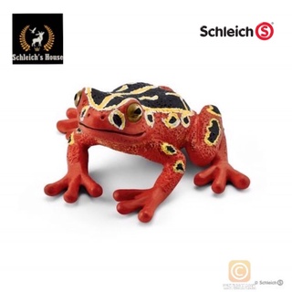Mô hình động vật , đồ chơi con vật Schleich chính hãng Ếch châu Phi 14760 - Schleich House