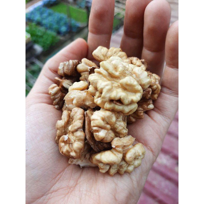 500gr Quả Óc Chó Vàng Sấy Khô Nhập Mỹ (Chất lượng cao)