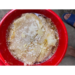 Mật ong rừng Điện Biên
