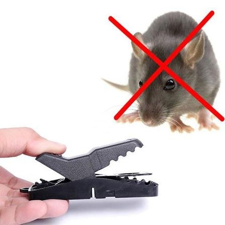 (FREESHIP 99k)Bẫy chuột nhựa thông minh không độc hại