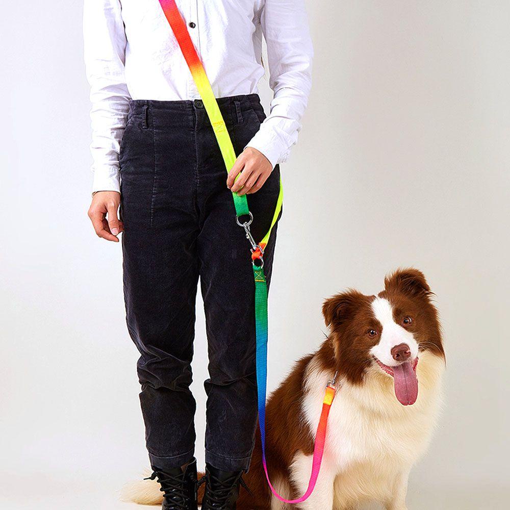 Dây Dắt Thú Cưng Đi Dạo Mềm Mại Chống Nổ Đa Năng Tiện Dụng