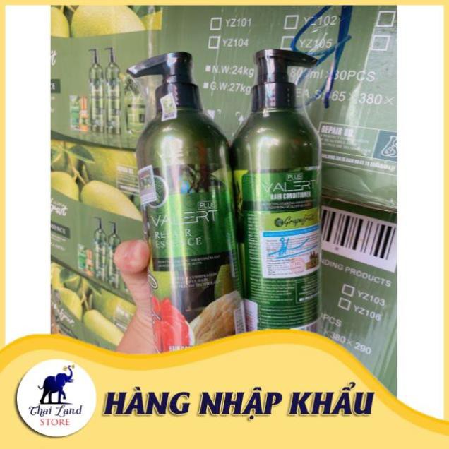 [HOT] CẶP DẦU GỘI BƯỞI GRAPEFRUIT