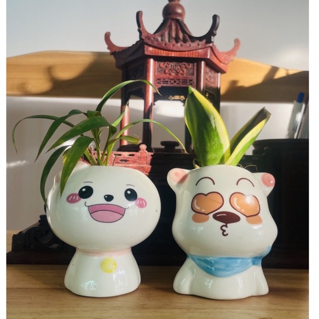 Chậu kiểng mini trang trí bàn trà/phòng khách - tặng kèm hạt giống