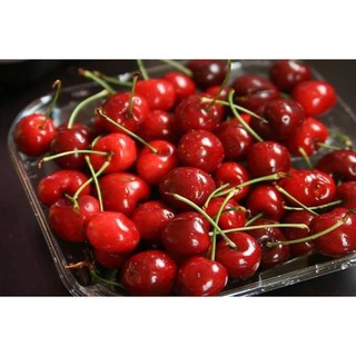 10 hạt giống quả cherry đỏ sai quả