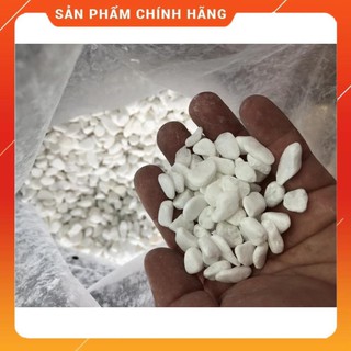 1kg Sỏi đá trắng nhỏ trang trí vườn, cây nội thất.