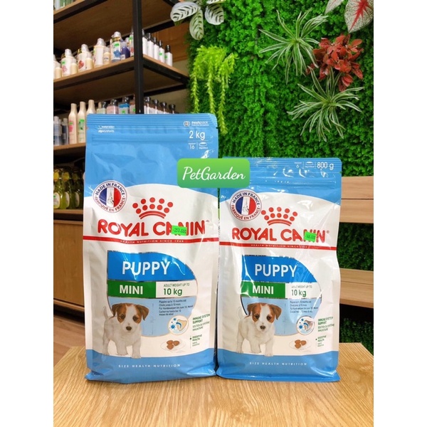 ROYAL CANIN MINI PUPPY / MINI ADULT THỨC ĂN CHO CHÓ