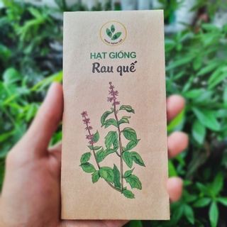 Hạt giống rau Húng Quế (5gram)