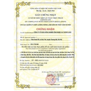 Cà Gai Leo (1kg)