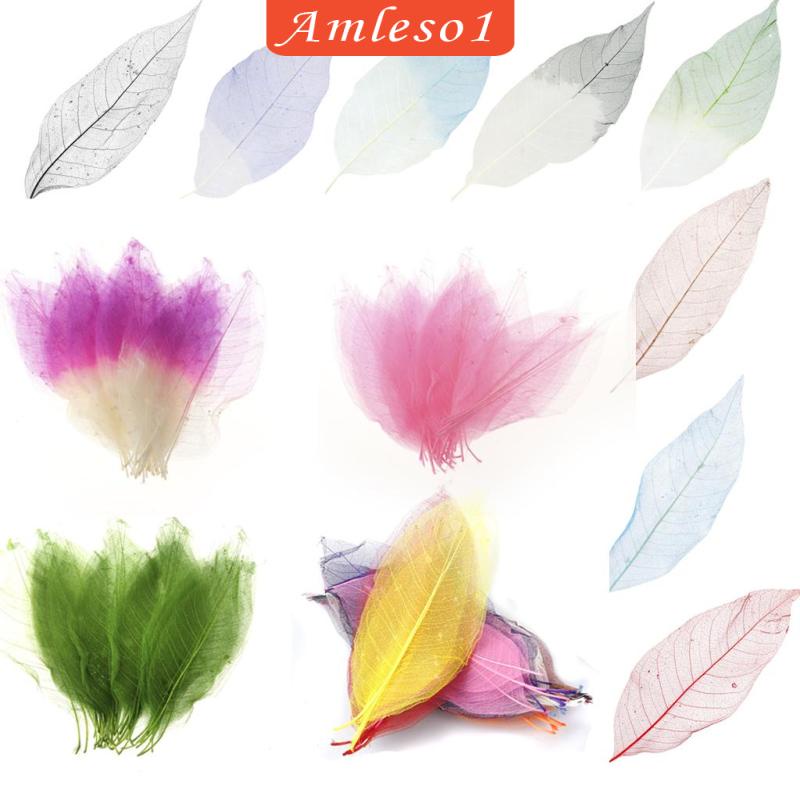 Set 50 Lá Mộc Lan Tự Nhiên Màu Trắng Amleso1 Dùng Trang Trí Sổ Tay