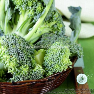 100h Hạt Giống Súp Lơ Baby (A2.301| C13*W55*M221)