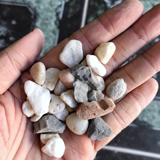 ĐÁ TRANG TRÍ HỒ CÁ NON BỘ 800g