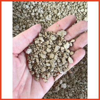 Đất trồng sen đá trộn sẵn (1kg) - Đất chuyên dụng cho sen đá