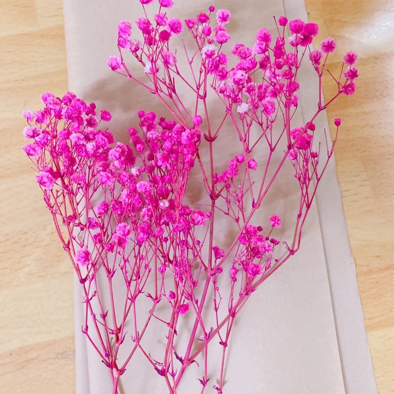 Hoa baby Hồng đậm❤️FREESHIP❤️ Gypsophila hoa khô trang trí phòng ngủ, làm đồ handmade