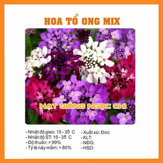 Hạt giống hoa tổ ong mix - 100 hạt