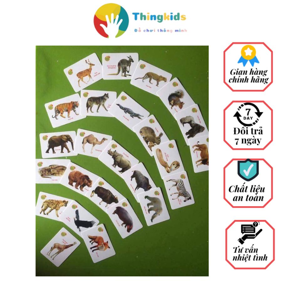 Thẻ Học Thông Minh 16 Chủ Đề 416 Hình Ảnh Sinh Động, Có Tiếng Anh - Việt - Thingkids