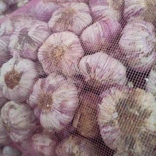 1kg tỏi tím
