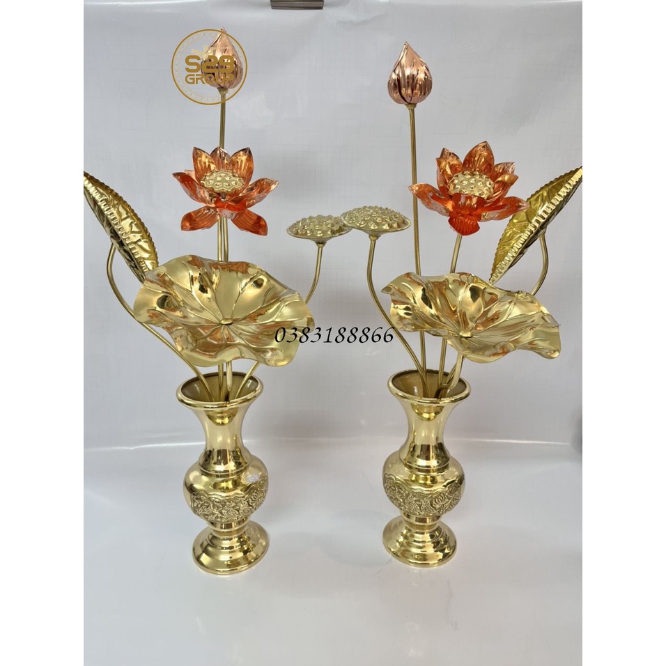 Hoa sen đồng thờ cúng gia tiên,đình chùa