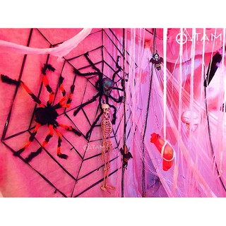 Mô hình con nhện trang trí Halloween TAN