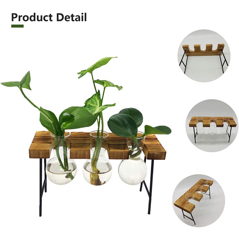 Chậu Trồng Cây Thủy Tinh Kèm Giá Đỡ Gỗ 3 Bóng Đèn Độc Đáo Trang Trí Nhà Cửa / Văn