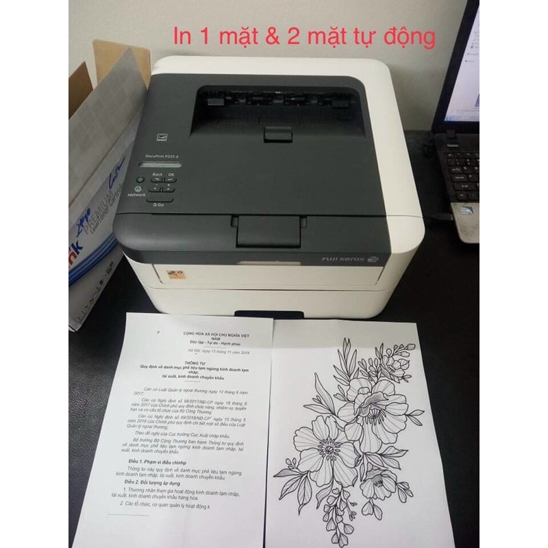 máy in fuji xerox p225d