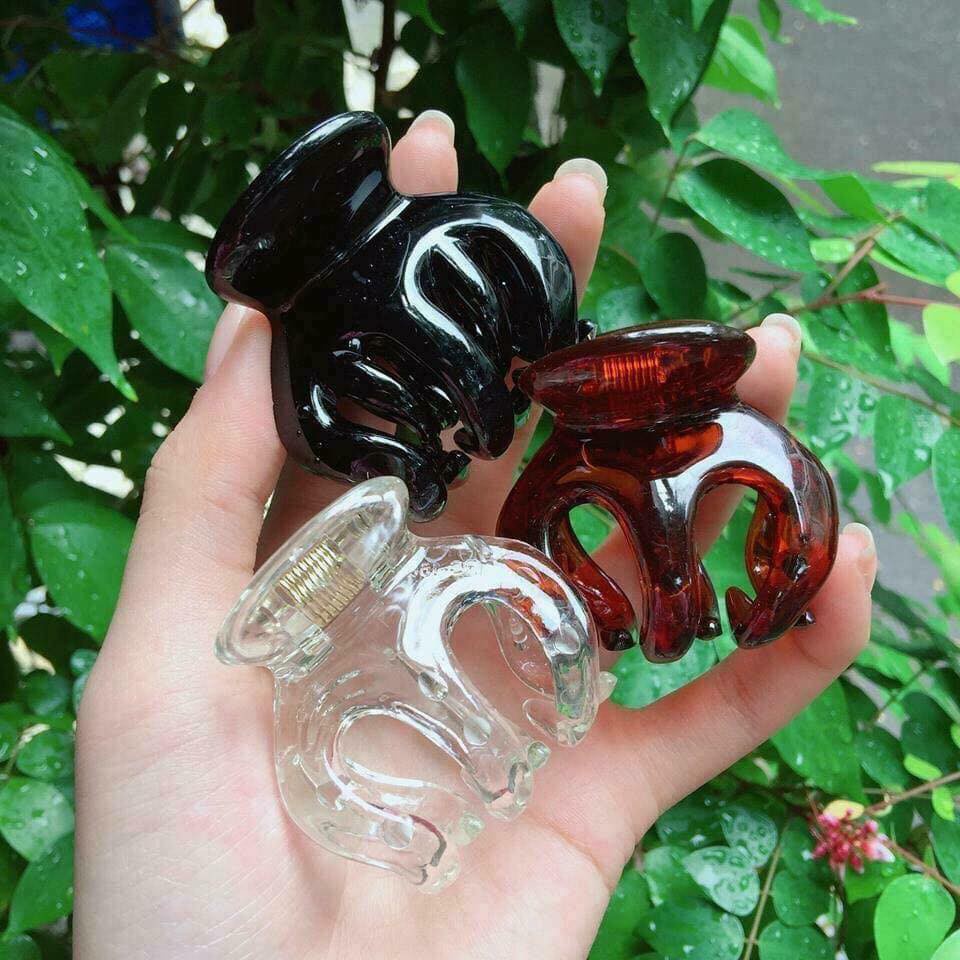 Kẹp Tóc, Kẹp Càng Cua, Ngoạm Tóc Thái Lan