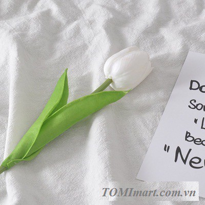 Đạo cụ chụp hình - Hoa tulip cao cấp