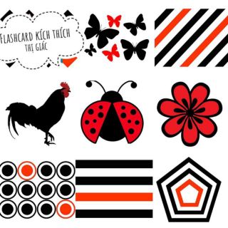 Thẻ kích thích thị giác Flashcard cứng