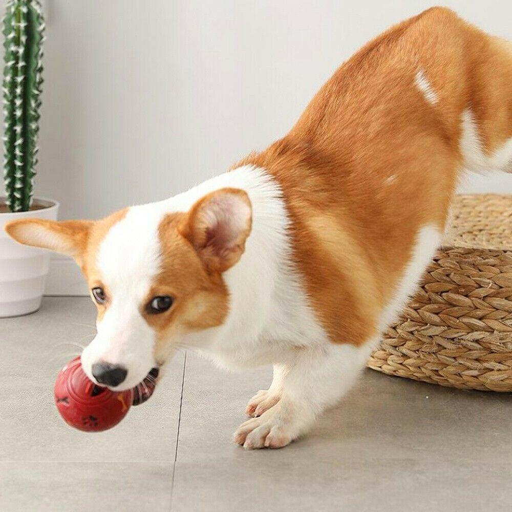 Quả Bóng Đồ Chơi Tự Động Huấn Luyện Tương Tác Cho Thú Cưng SHOUKEY
