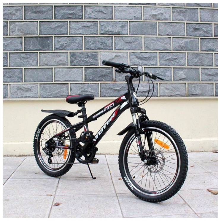 Xe đạp địa hình cho bé 6 đến 8 tuổi TOTEM 719 - 20''