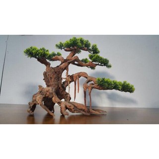 Lũa Bonsai Lá Nhựa - Trang Trí Bể Cá
