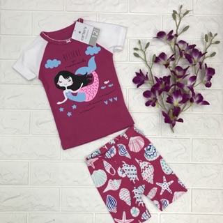 Bộ Borip Carter BG 1-7 y