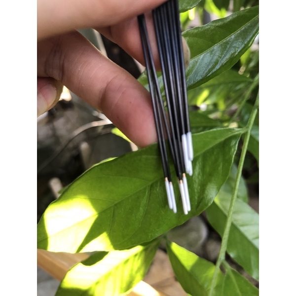 Phao câu đài nano cao cấp tăm nhot nhẹ trị cá nhát chuyên cá chép, diếc rô phi cao cấp