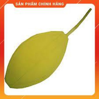 Bóng tập thổi, bóng tập thở