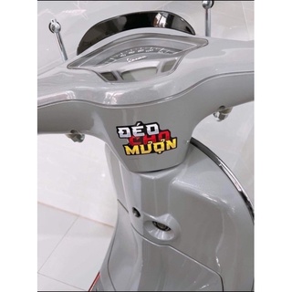 Tem Decal Racing