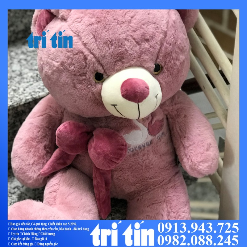 ❣️𝑭𝒓𝒆𝒆𝒔𝒉𝒊𝒑❣️Gấu teddy dáng đứng thắt nơ khổ 80cm