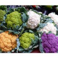 Gói đóng hạt giống súp lơ mix