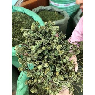 NỤ HOA TAM THẤT sạch