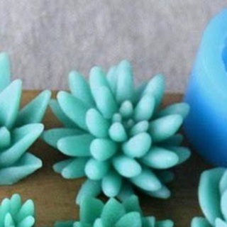 Khuôn Silicone Sen Đá Tia