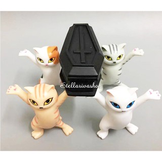 Mô hình mèo khiêng hòm, stellariva