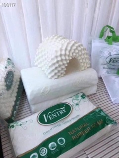 Gối cao su non Ventry