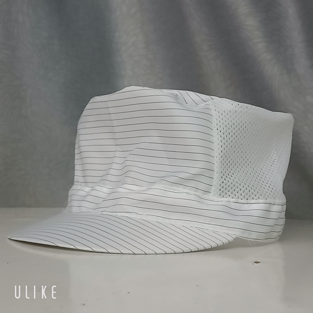 Nón lưới phòng sạch chống tĩnh điện TRẮNG-  XANH cao cấp cho công nhân