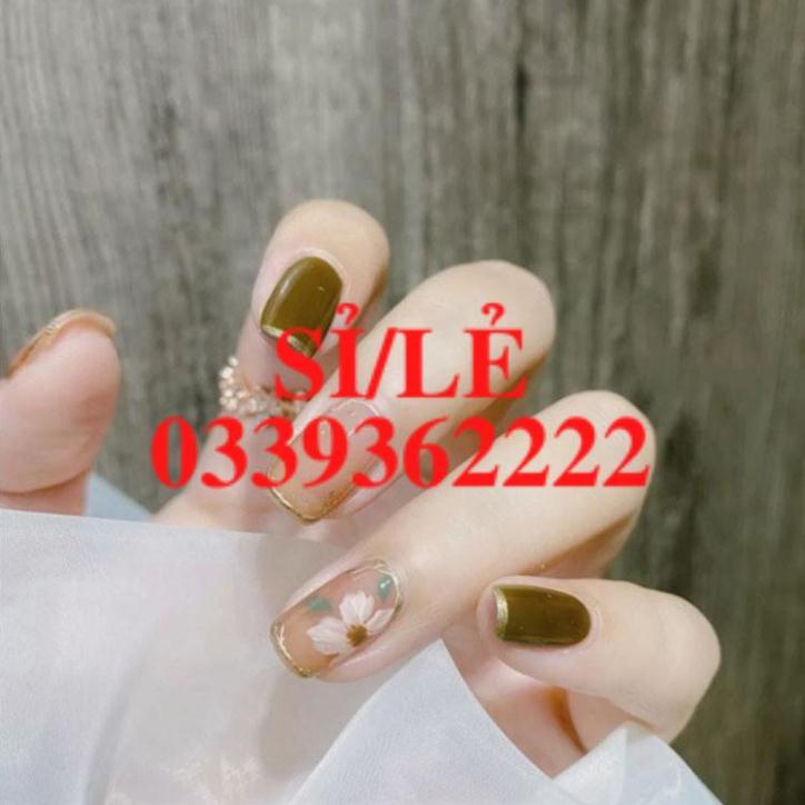 [ CHÍNH HÃNG ] Hộp 24 bộ móng giả cao cấp tặng kèm keo Sena Beauty Nail