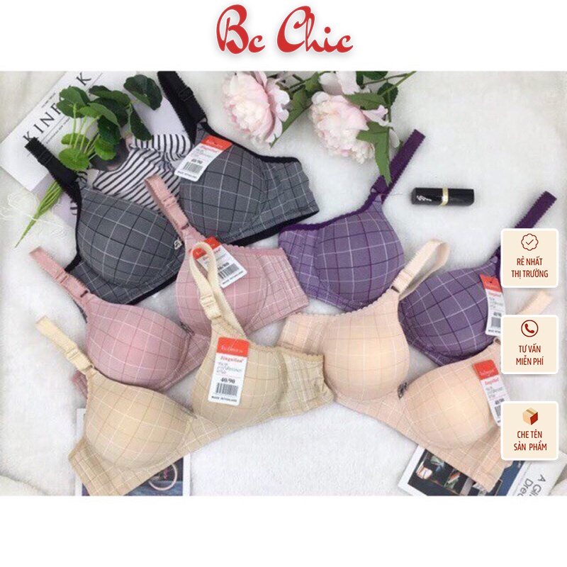 Áo lót đệm mỏng 151 quả to BC_CHIC LINGERIE