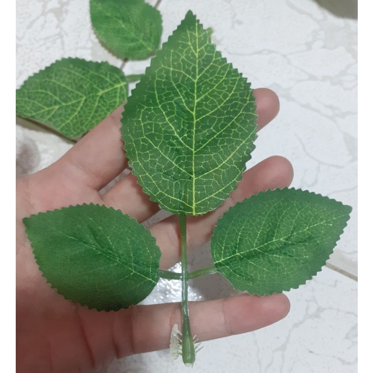 10 Lá hoa hồng gân , lá hoa hồng giả