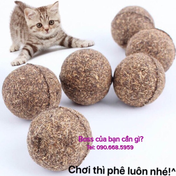Bóng catnip bạc hà cho mèo