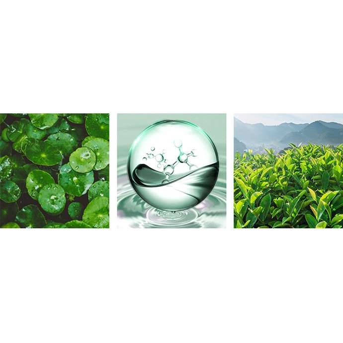 Mặt Nạ Lăn Dưỡng Ẩm Venzen Dưỡng Trắng Da, Ngừa Mụn, Kiểm Soát Dầu, Se Khít Lỗ Chân Lông 40g MS6035