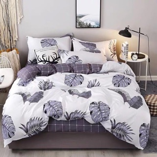 Bộ chăn ga gối Cotton Poly
