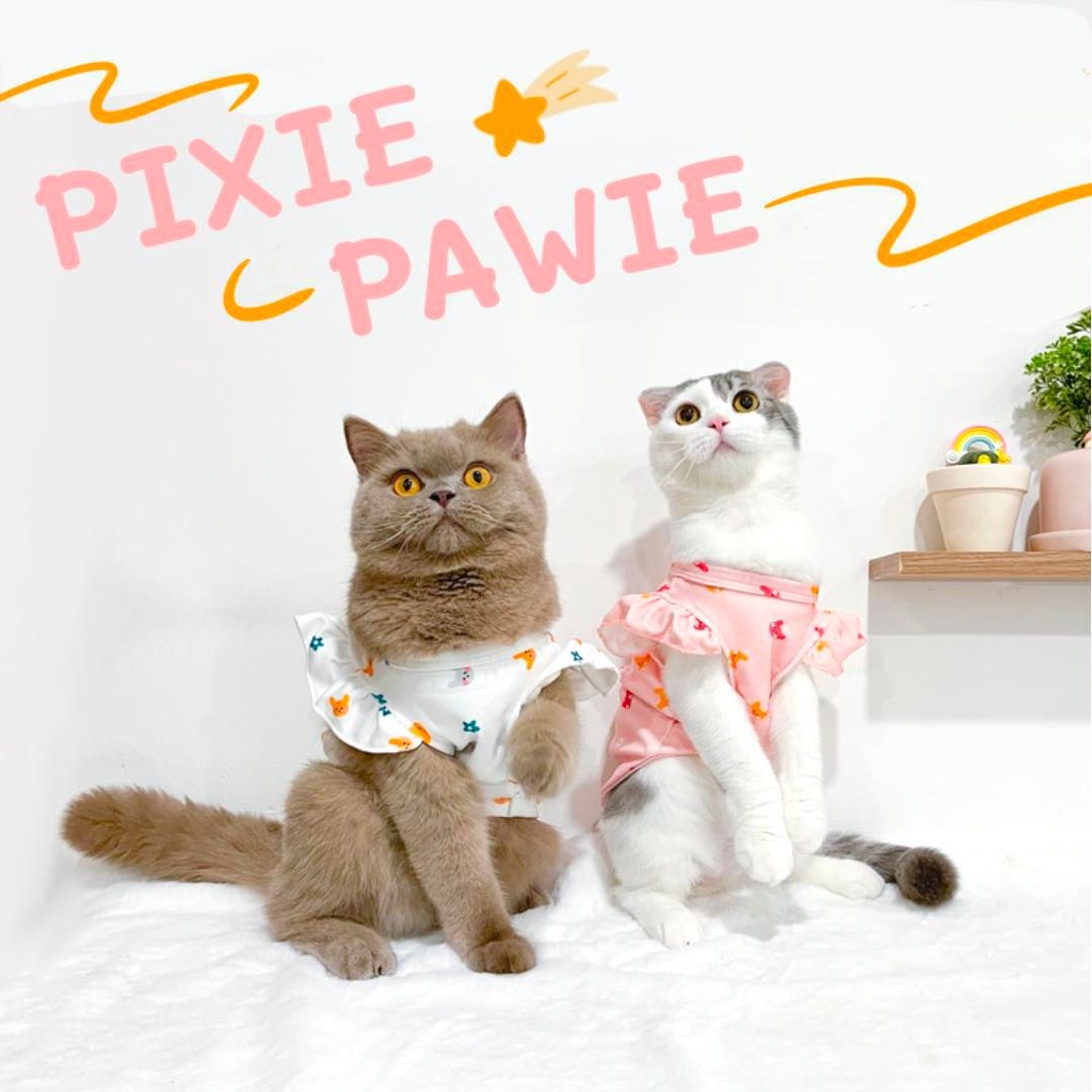 Áo Thun Sơ Mi Cánh Tiên Dễ Thương DoggoStyle Thoáng Mát Cho Chó Mèo Quần Áo Thú Cưng